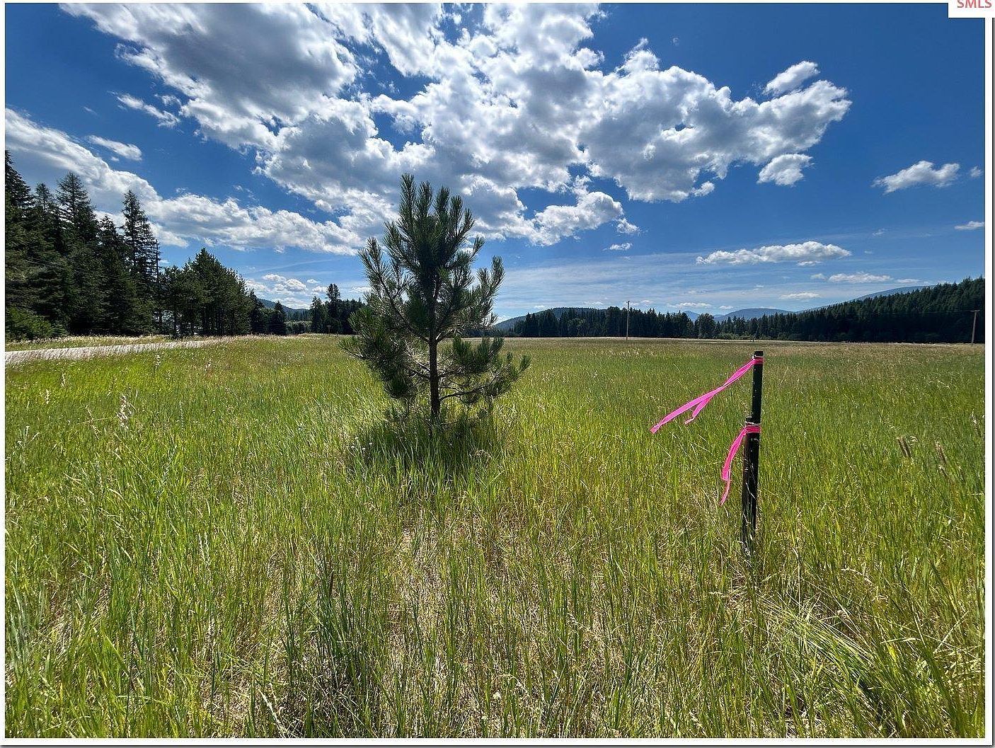 163 Firehouse Rd Moyie Springs, ID 83845 - Thumbnail 5