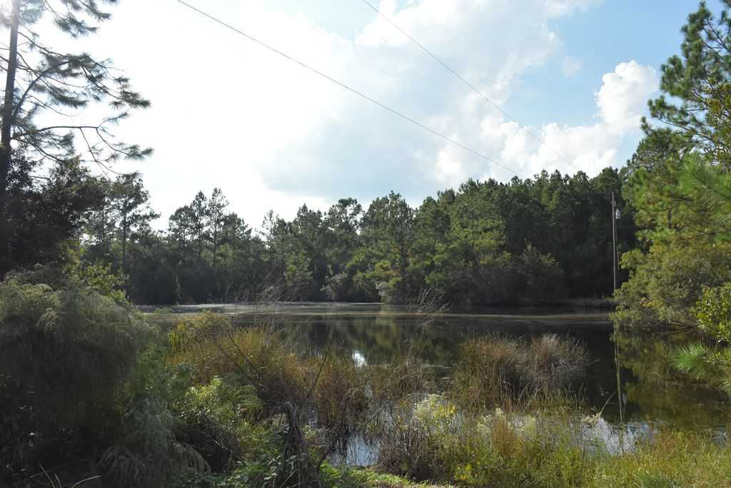 45 AC Kevin Road, Hinesville, GA, 31313  | Land/Lot
