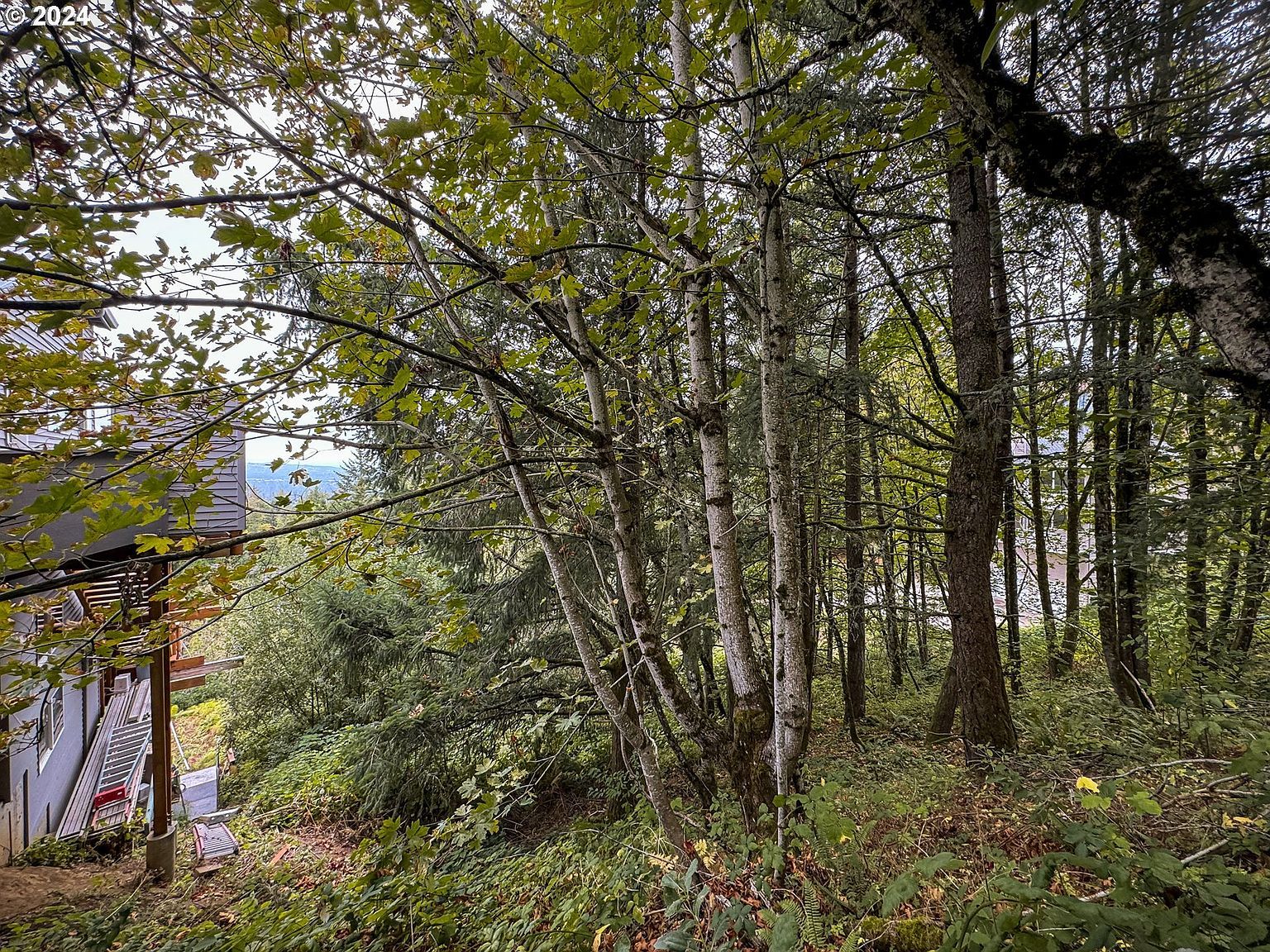 0 NW 83rd Pl Portland, OR 97229 - Thumbnail 5