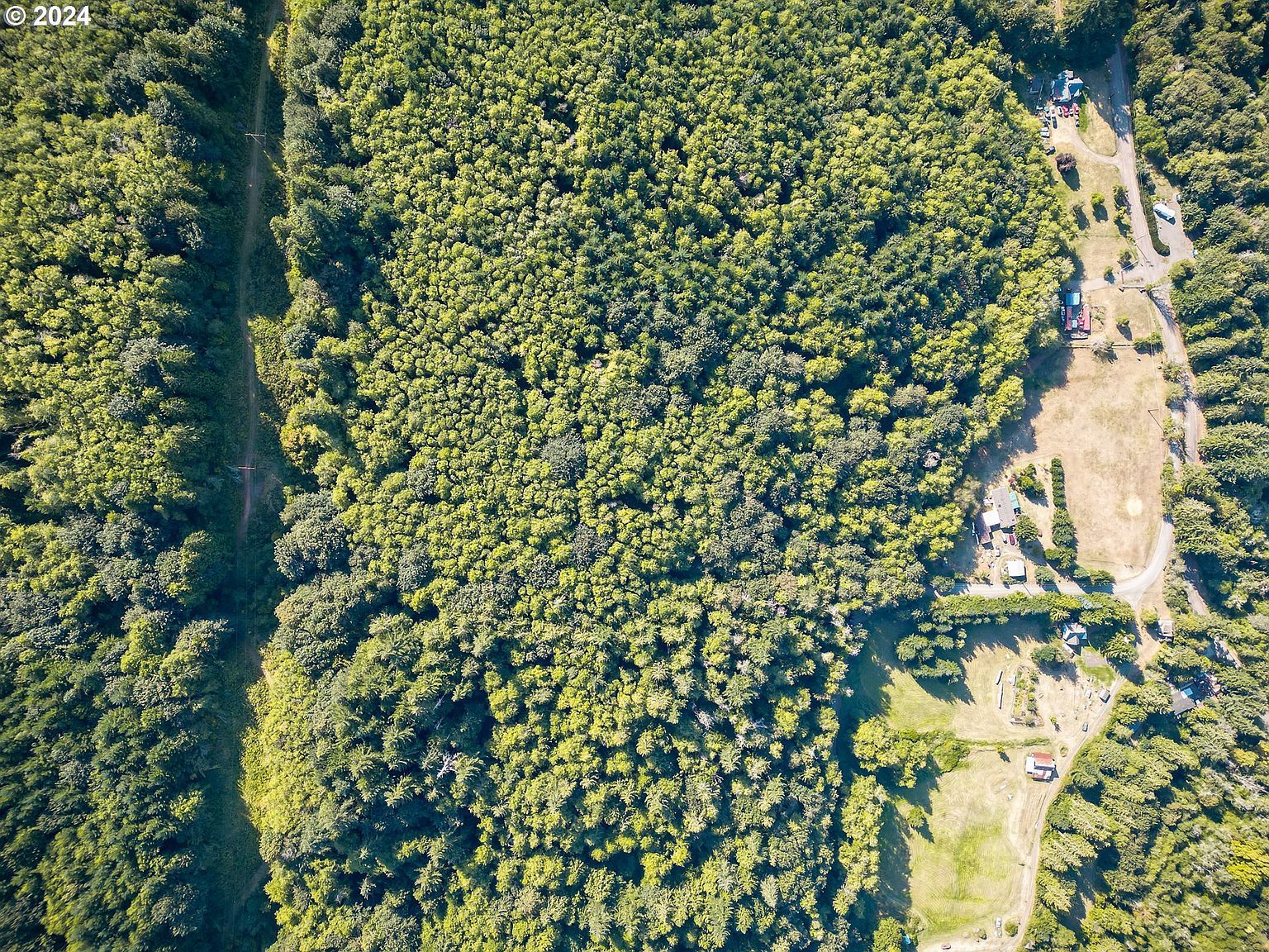 0 Mustola Rd Clatskanie, OR 97016 - Thumbnail 5