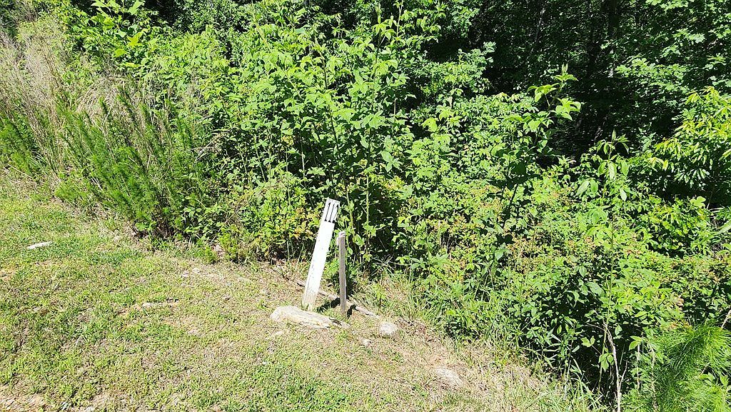 LOT 112 Jakes Landing Dr Ellijay, GA 30540 - Thumbnail 5