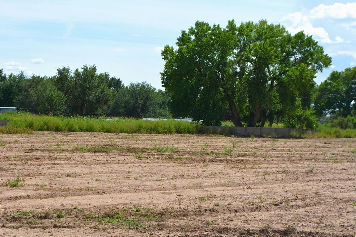 19 Leibel Ct Los Lunas, NM 87031 - Thumbnail 5
