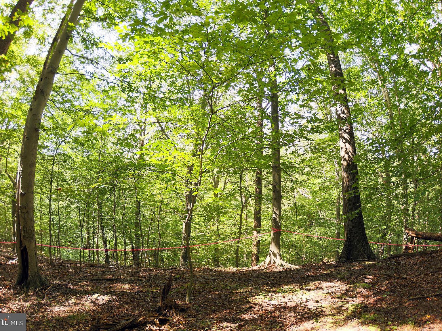 Laurel Dr Accokeek, MD 20607 - Thumbnail 5