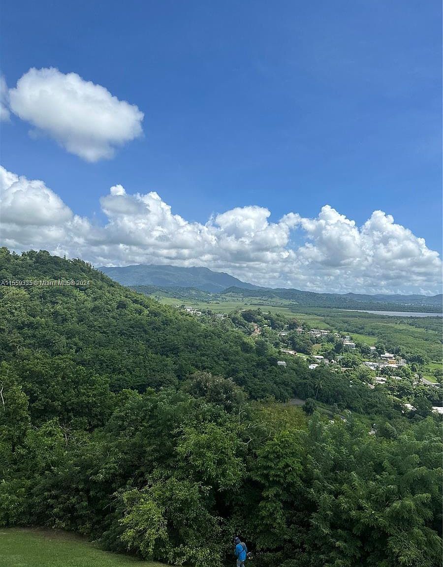 Barrio Anton Ruiz Y Pr #925 Punta Santiago, PR 00741 - Thumbnail 5