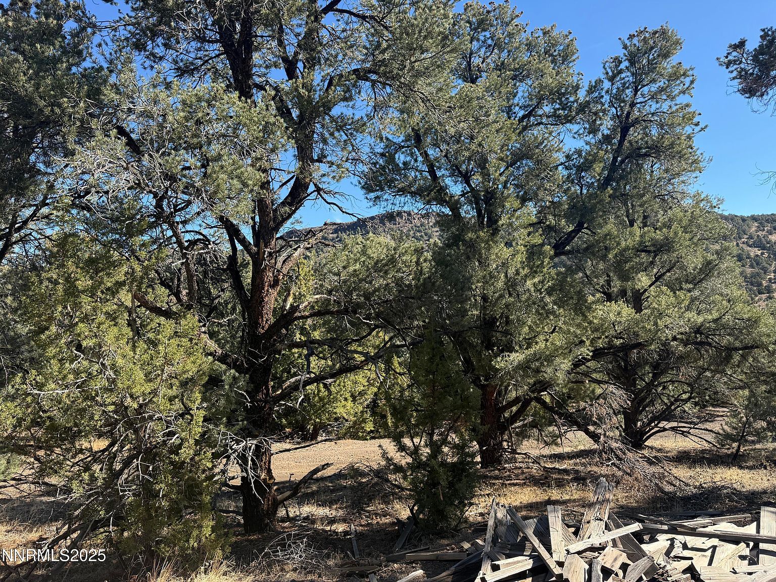 2120 Scorpion Rd #212 Reno, NV 89521  | Land/Lot