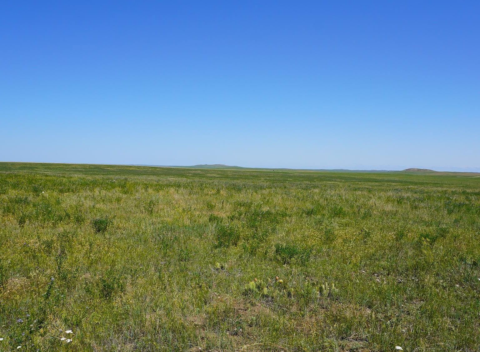 Old Highway 212 Newell, SD 57760 - Thumbnail 5