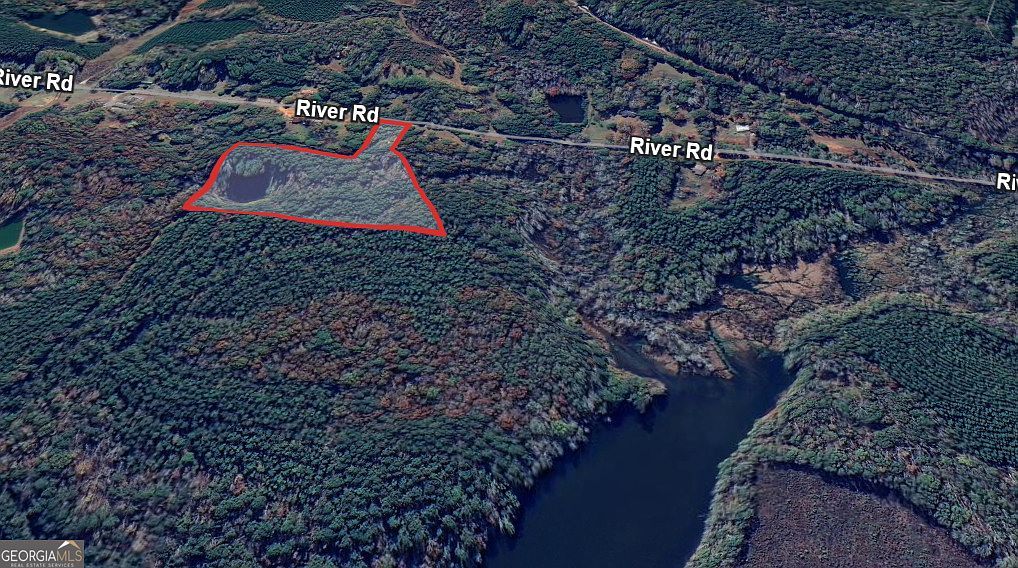 0 River Rd Warm Springs, GA 31830 - Thumbnail 5