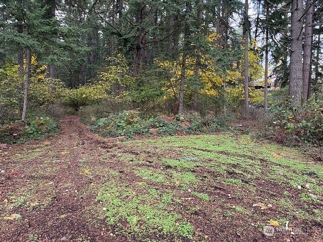 0 Xx Jasmine Ave SE Auburn, WA 98092 - Thumbnail 5