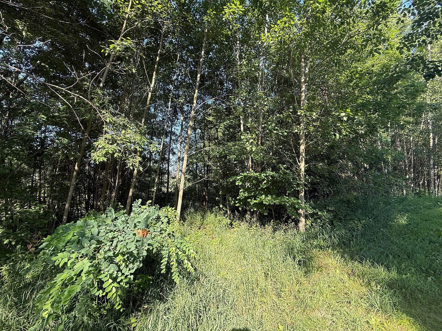 W Royal Rd #2 Stanwood, MI 49346 - Thumbnail 5