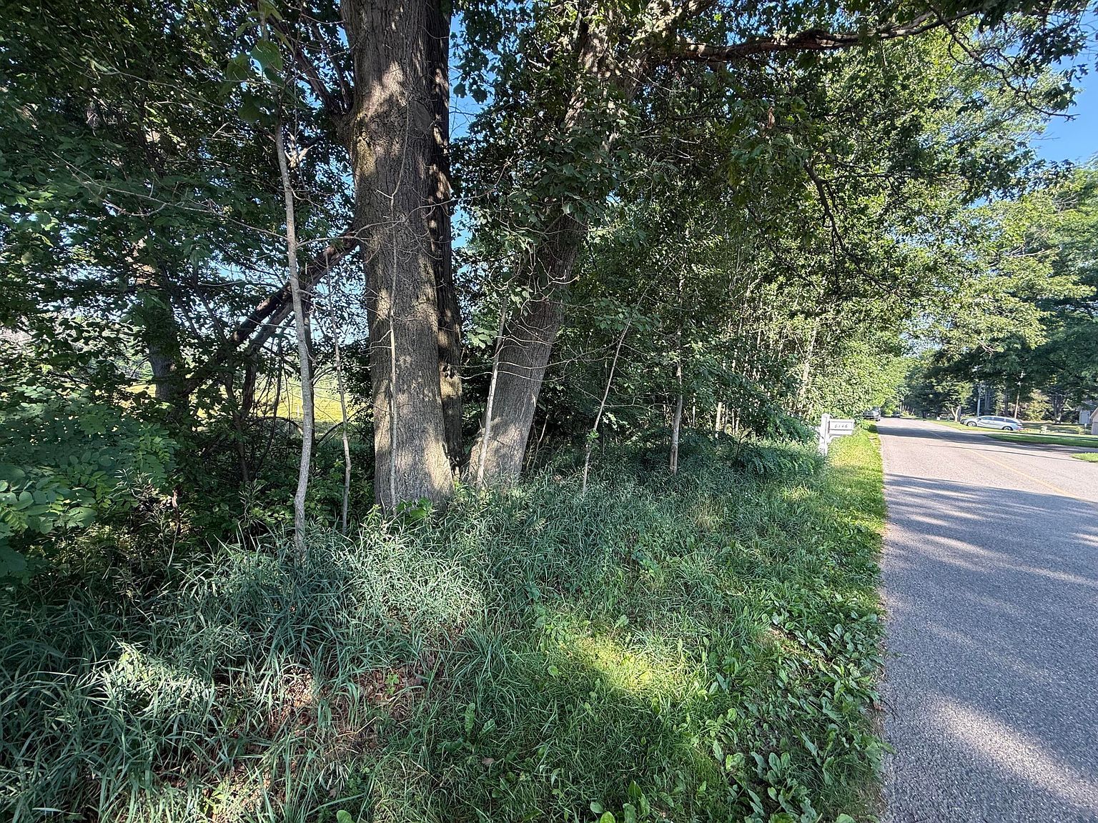 W Royal Rd Stanwood, MI 49346 - Thumbnail 5