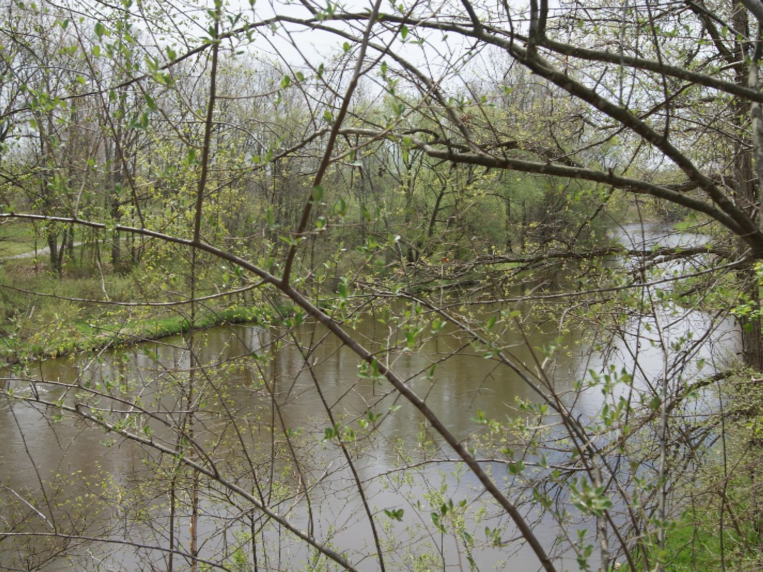 3 E River Rd Mt Pleasant, MI 48858 - Thumbnail 5