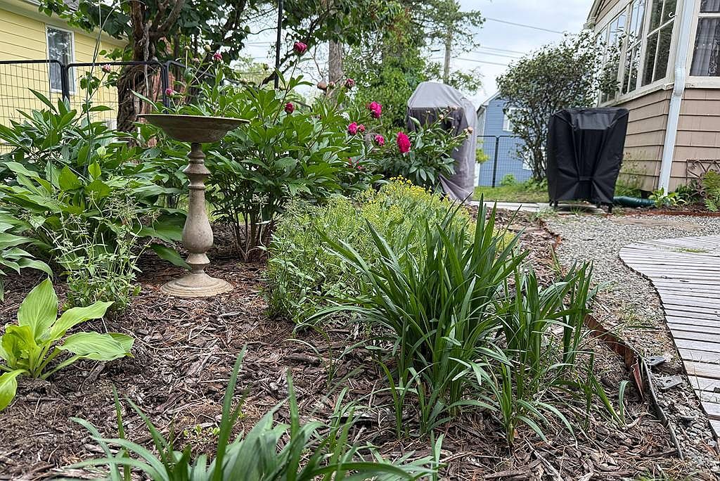 177 Dover Ave East Providence, RI 02914 - Thumbnail 5