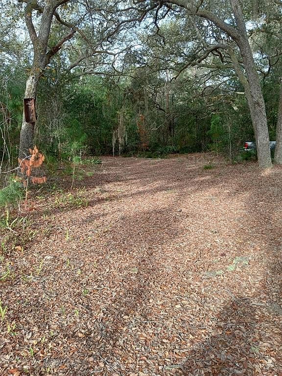 28093 SE Highway 42 Umatilla, FL 32784 - Thumbnail 5