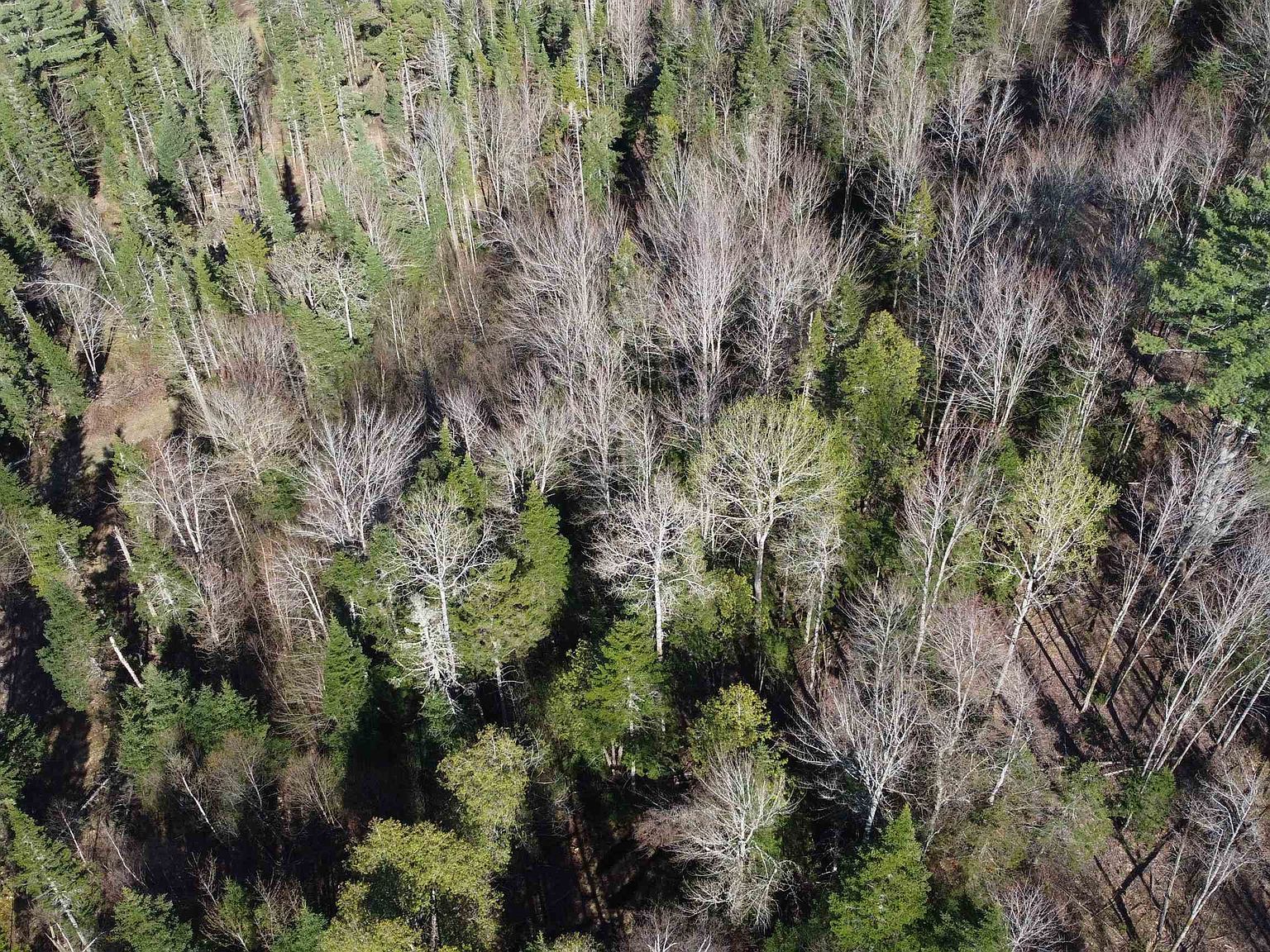 0 Atwood Dr #4 Island Pond, VT 05846 - Thumbnail 5