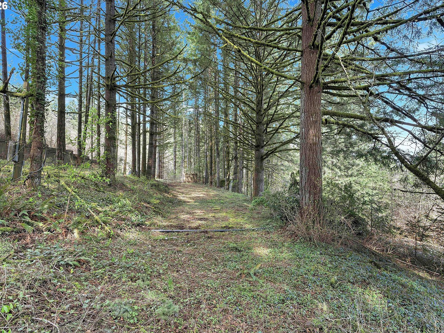 22900 NE Holly Hill Rd Hillsboro, OR 97123 - Thumbnail 5