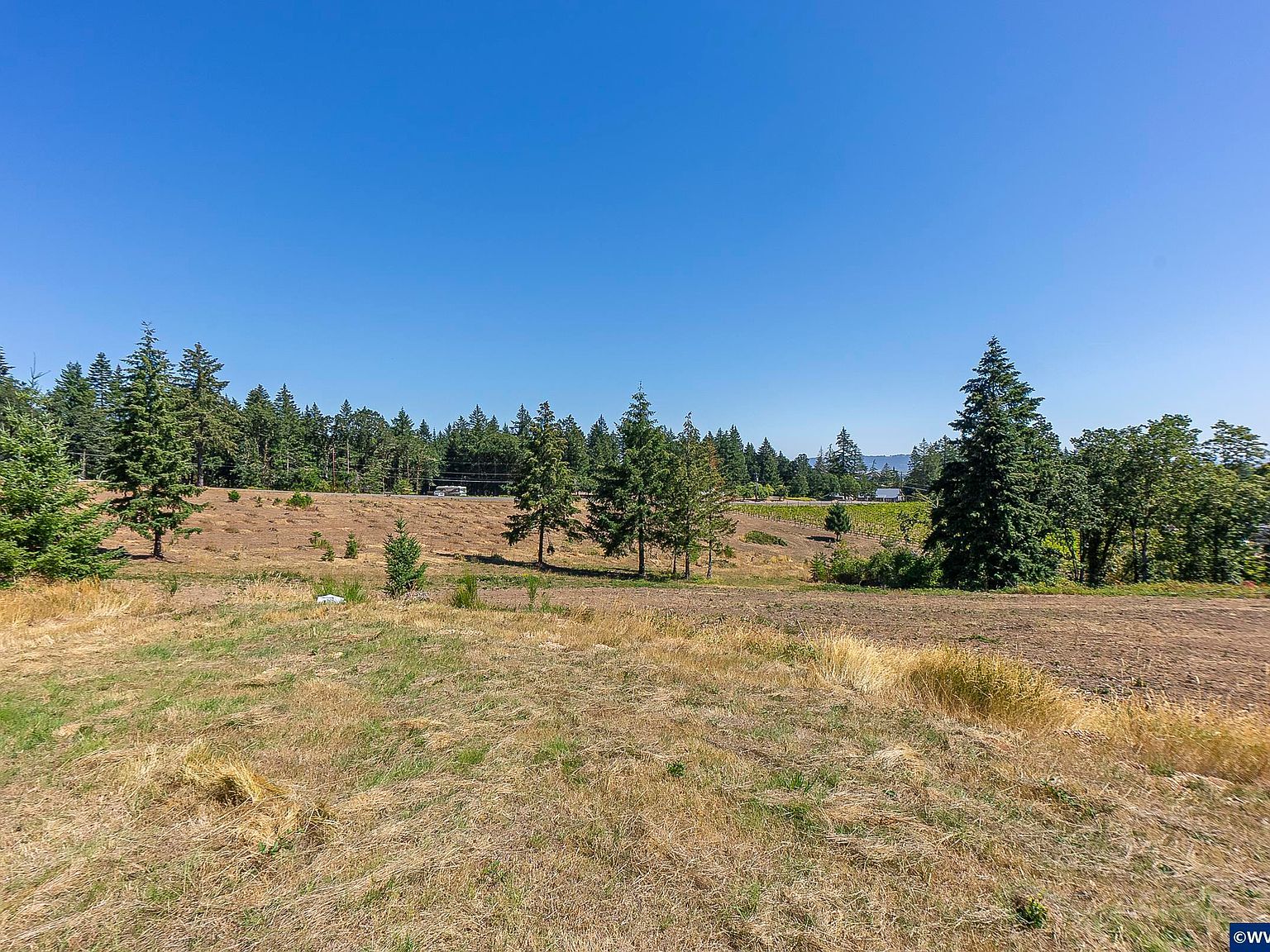 Ta 551698 Orchard Knob Rd Dallas, OR 97338 - Thumbnail 5