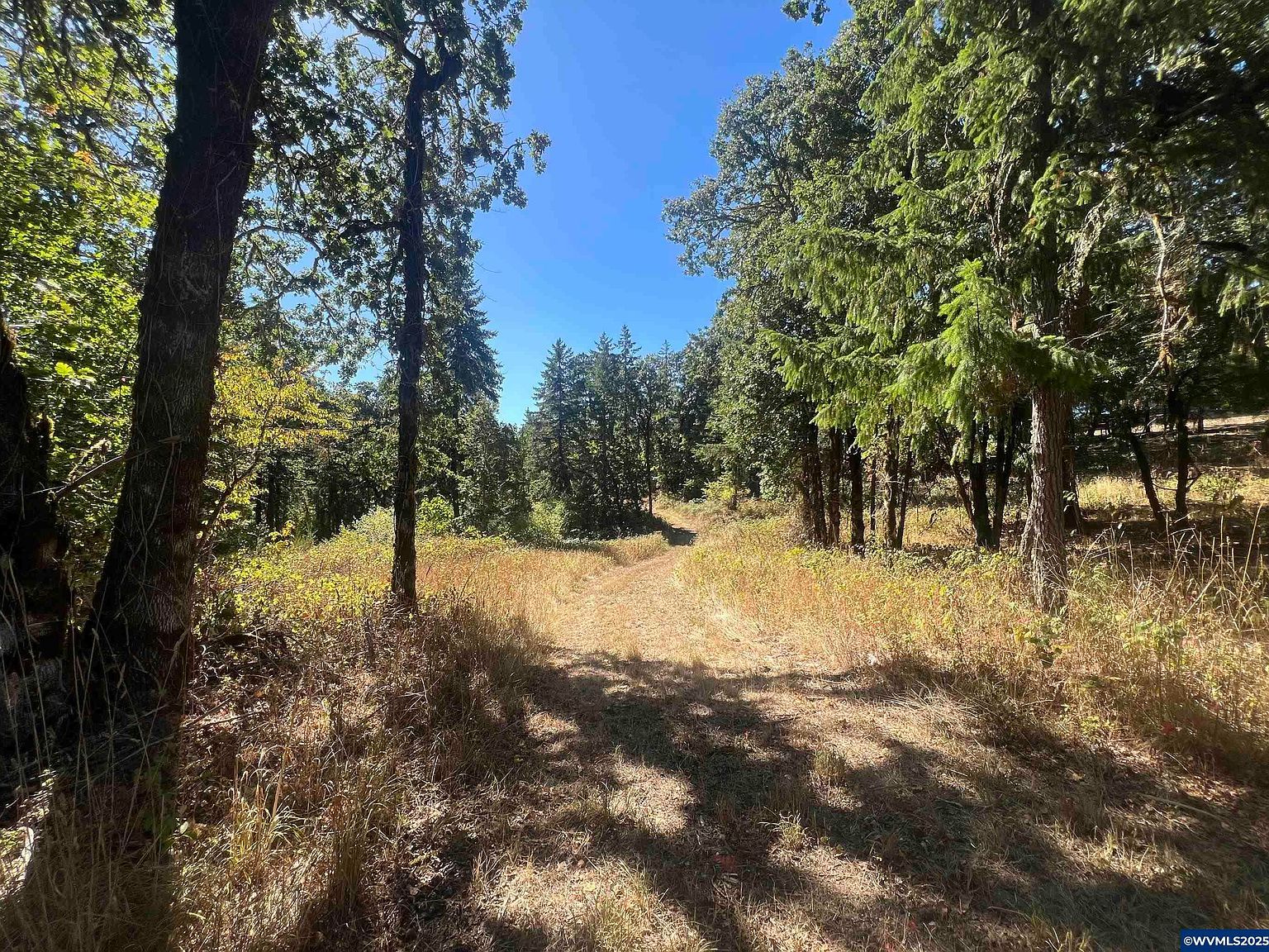 LOT 2 Orchard Knob Rd Dallas, OR 97338 - Thumbnail 5