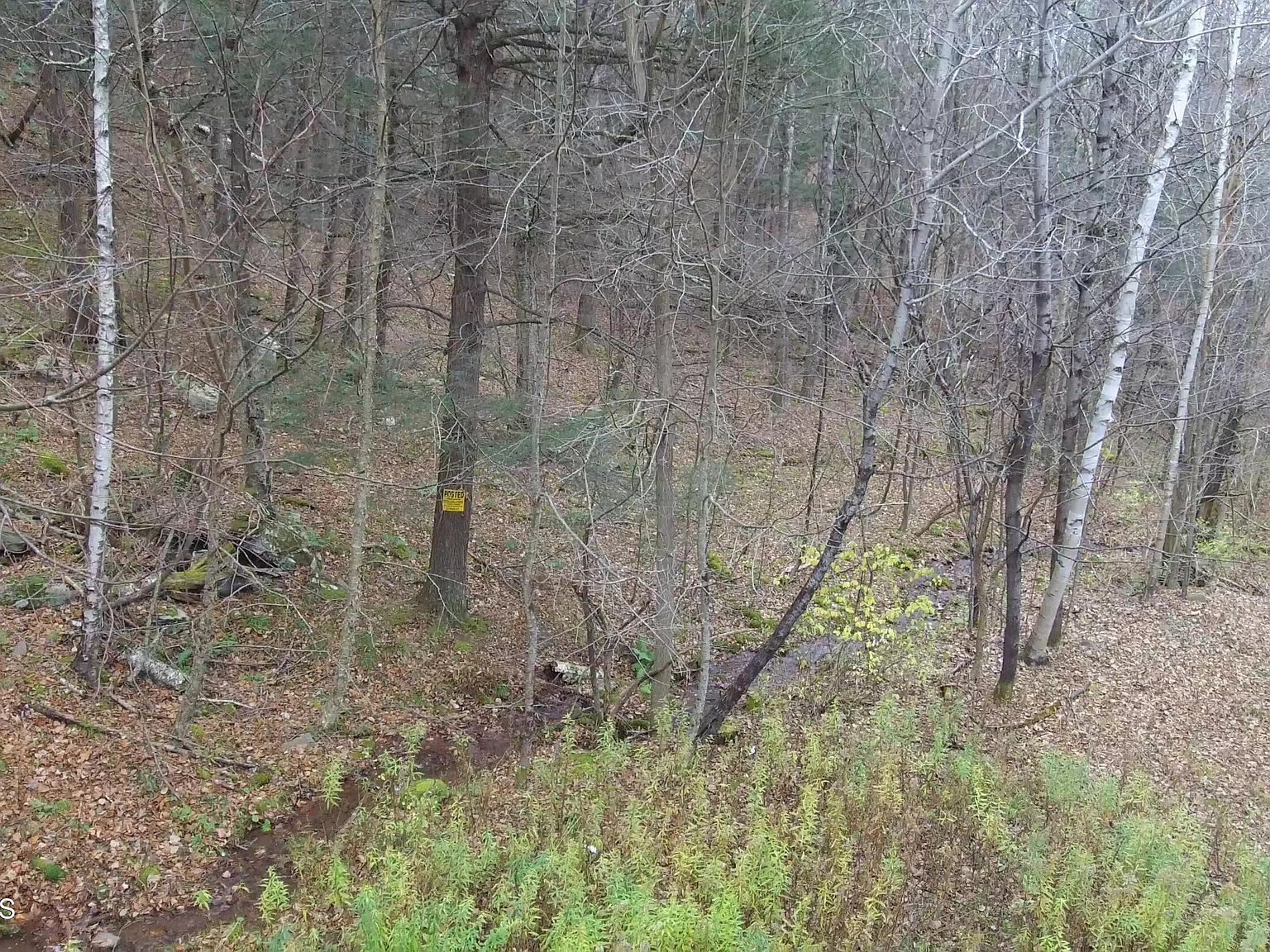 L152 Mount Eden Estates Rd West Kill, NY 12492 - Thumbnail 5