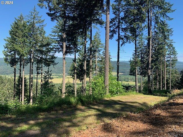 Alder Branch Rd Springfield, OR 97478 - Thumbnail 5