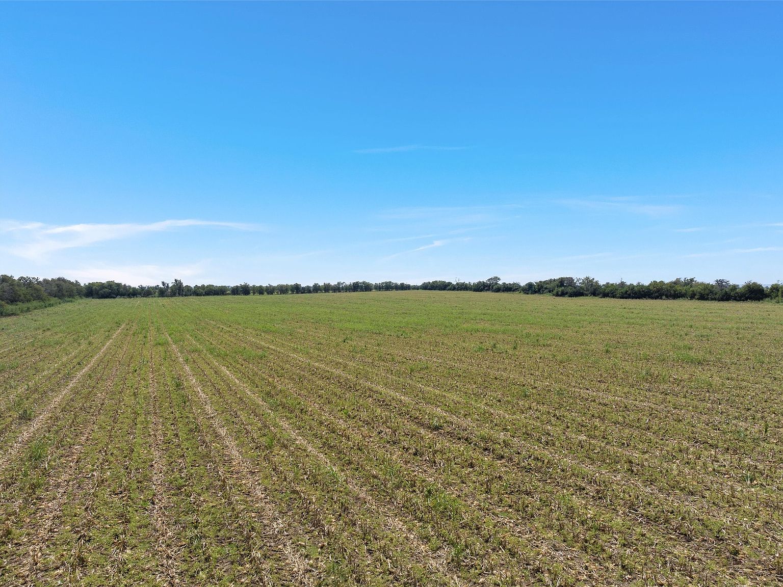 902 Mattlage Rd Crawford, TX 76638 - Thumbnail 5