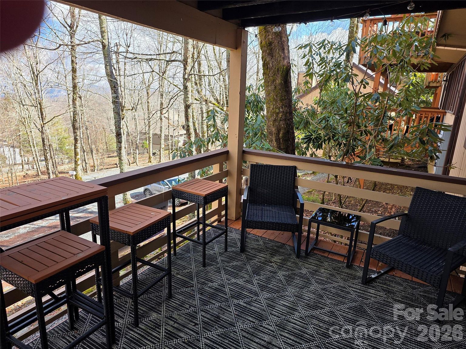108 Northridge Rd #1B Beech Mountain, NC 28604 - Thumbnail 5