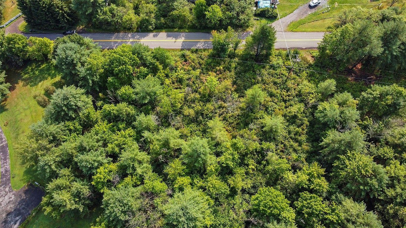 313 South St Chenango Forks, NY 13746  | Land/Lot