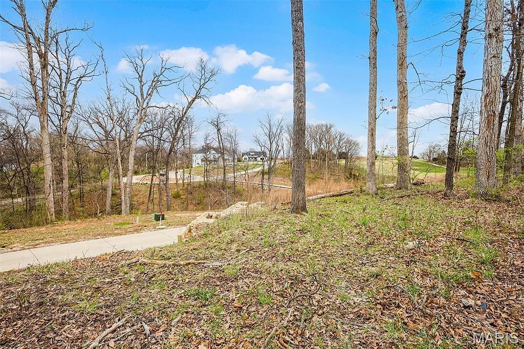 118 Summer Grace Ln Saint Charles, MO 63304 - Thumbnail 5