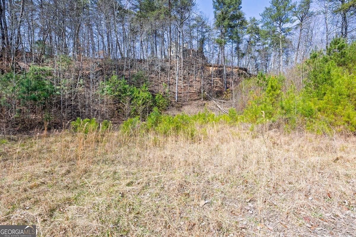 53 Somerset Ln Cartersville, GA 30121 - Thumbnail 5