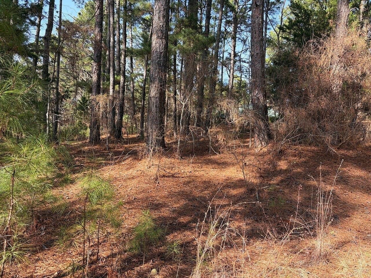 Lots 144 & 145 Silver Oaks Dr Flint, TX 75762 - Thumbnail 5