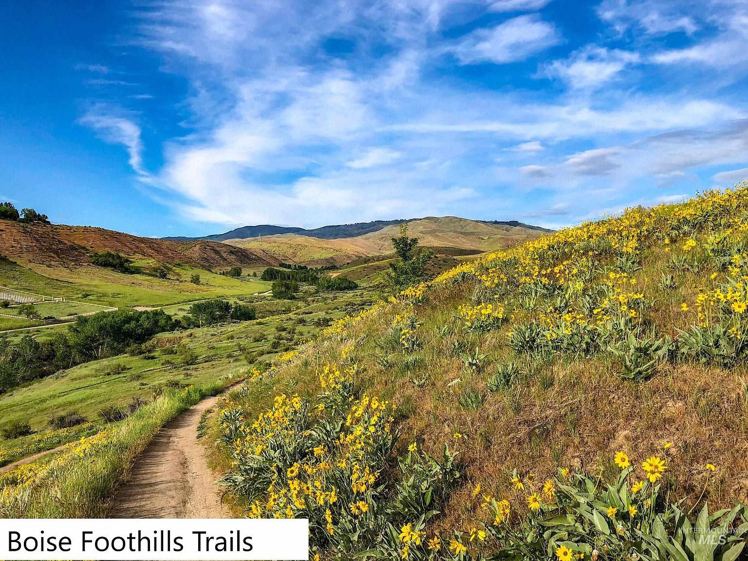 10453 W Arnold St Garden City, ID 83714 - Thumbnail 5