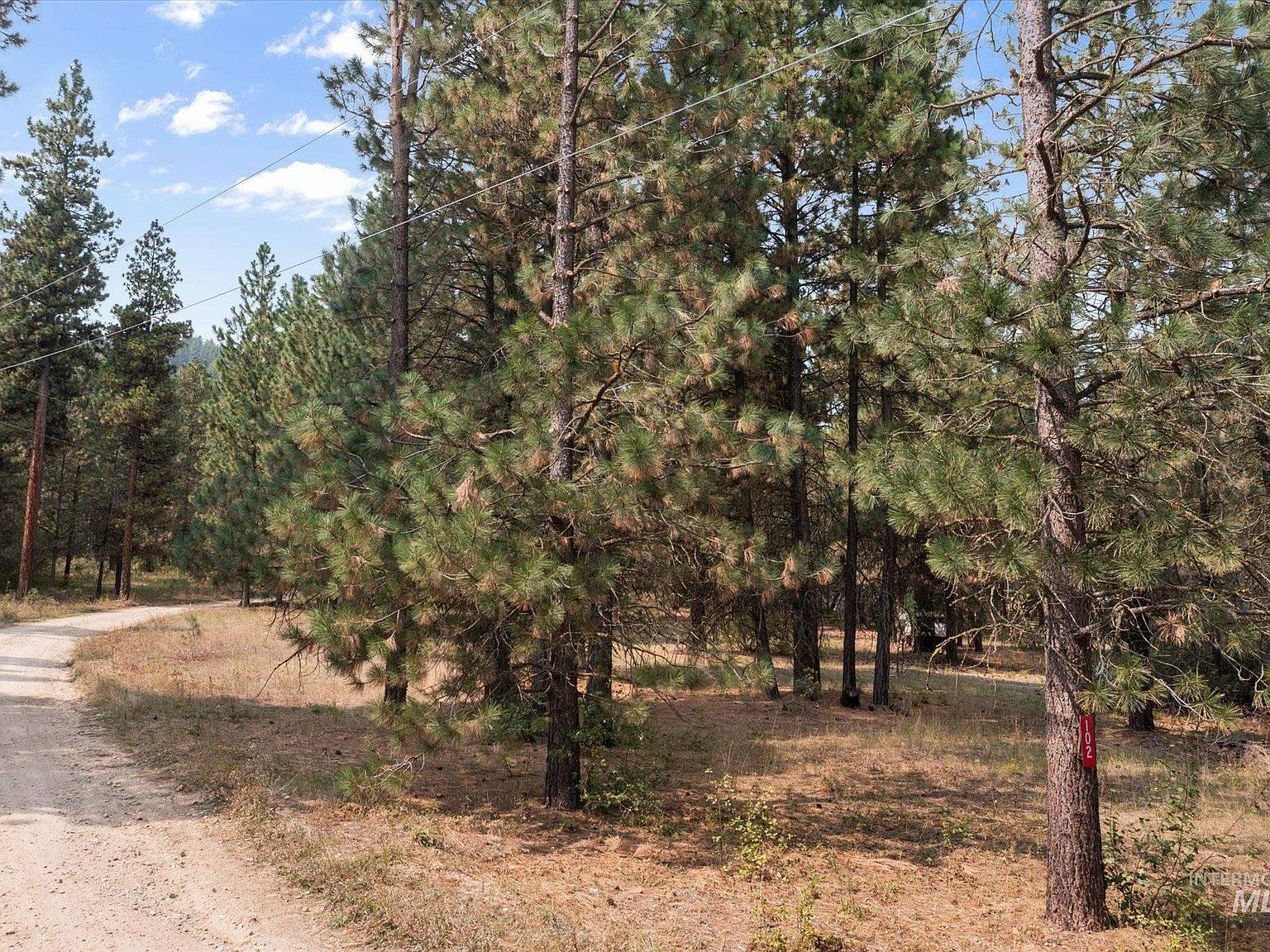 102 Nelsen Ave Idaho City, ID 83631 - Thumbnail 5