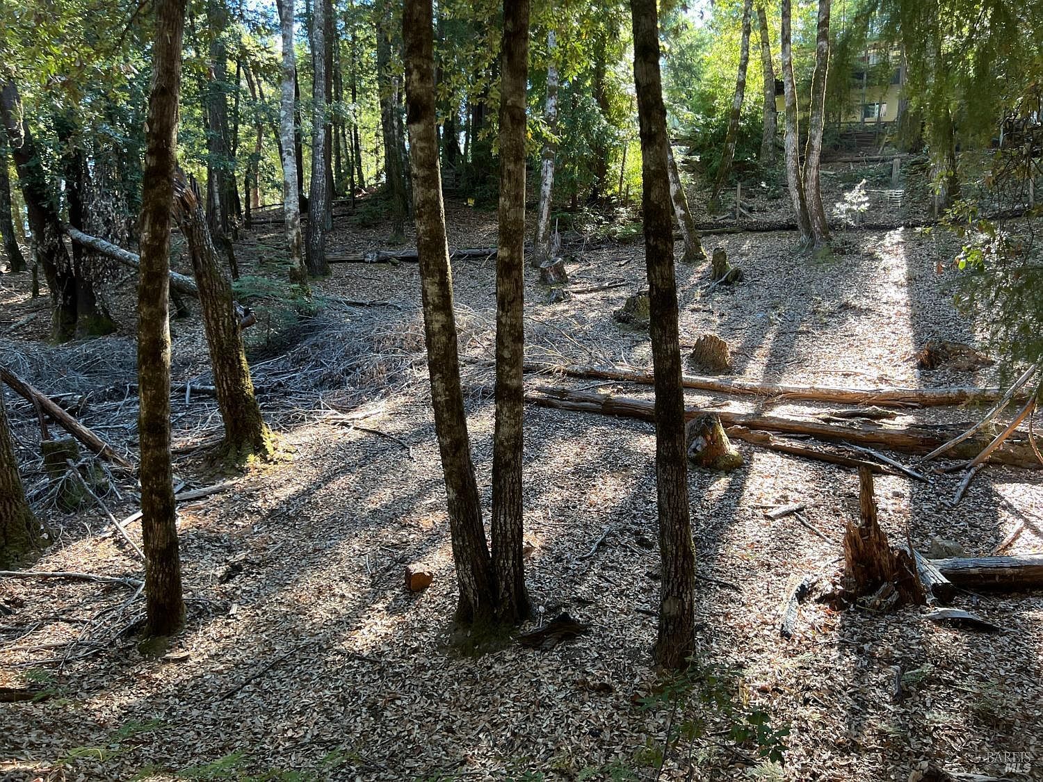 27208 Bear Dr Willits, CA 95490 - Thumbnail 5