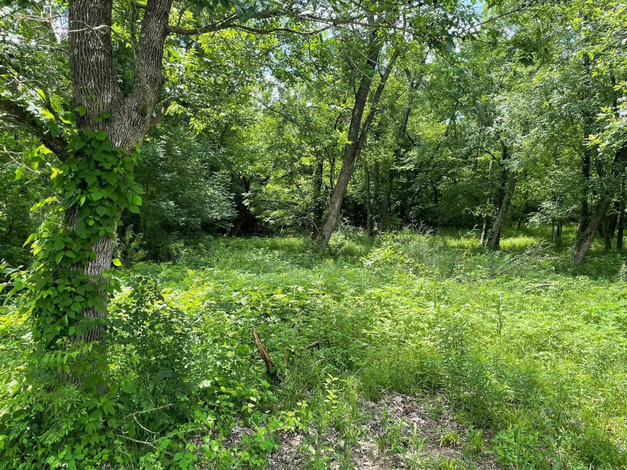 13 Forest Creek Lane, Anna, TX, USA, 75409 - Thumbnail 5