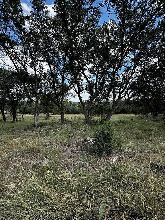 LOT 89 Whitetail Trl San Saba, TX 76877 - Thumbnail 5