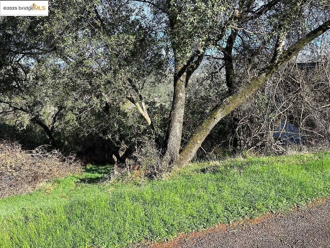 4881 Pueblo Trl Copperopolis, CA 95228 - Thumbnail 5