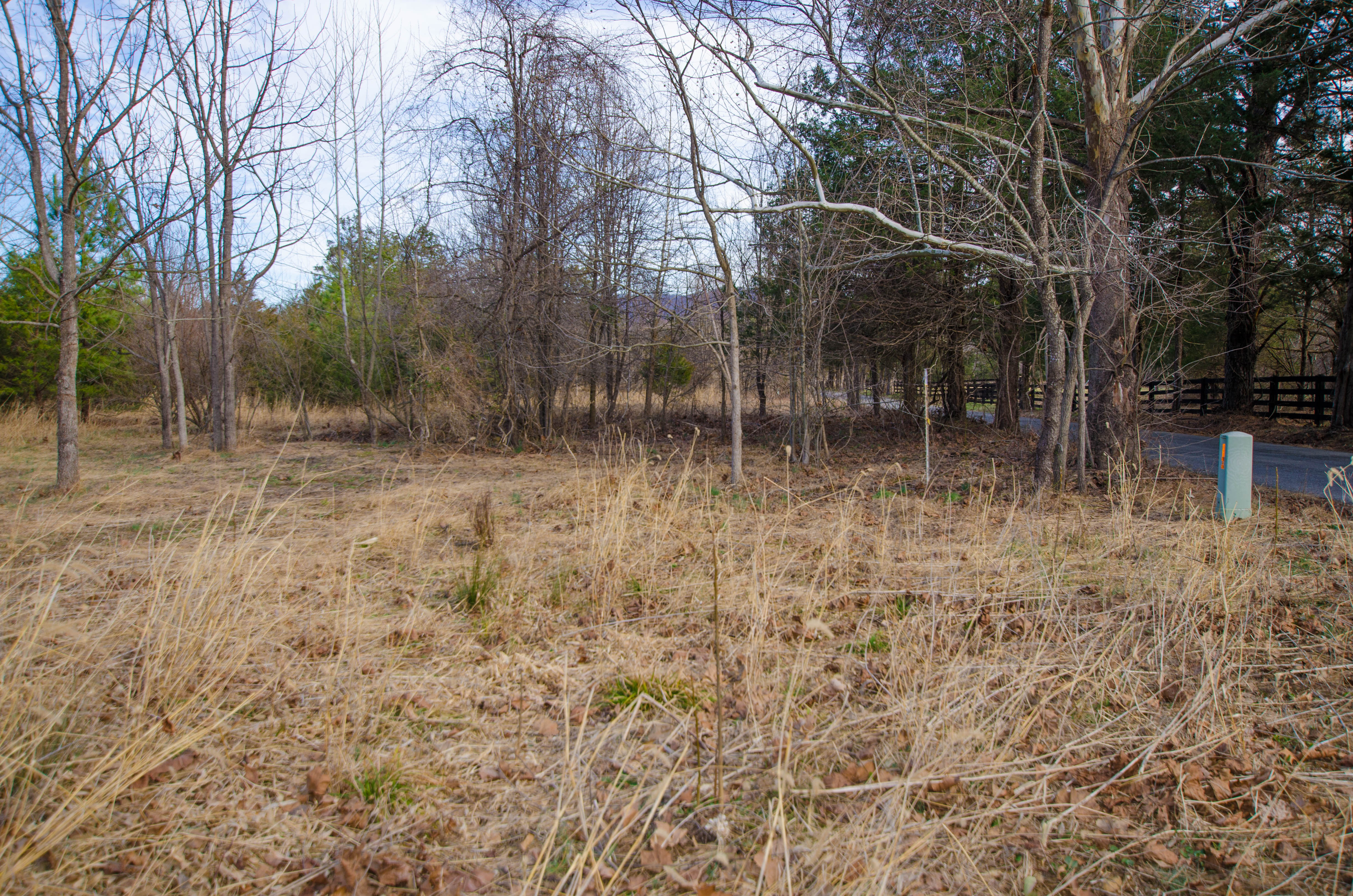School House Lane, Nellysford, Rockfish, VA, USA, 22958 - Thumbnail 5