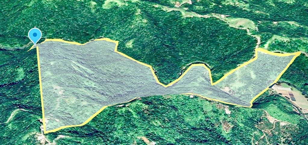 Km 8.7 Int Pr #124 Las Marias, PR 00670 - Thumbnail 5