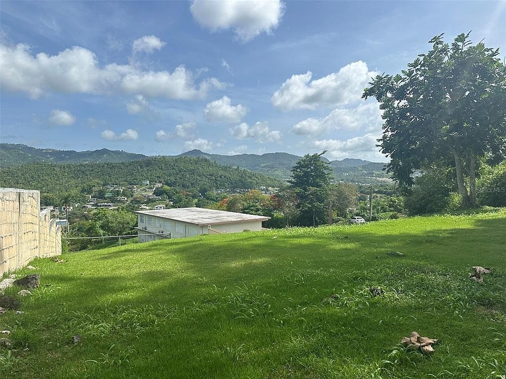 1 Lomas Pilfo Sector C St Cayey, PR 00736 - Thumbnail 5