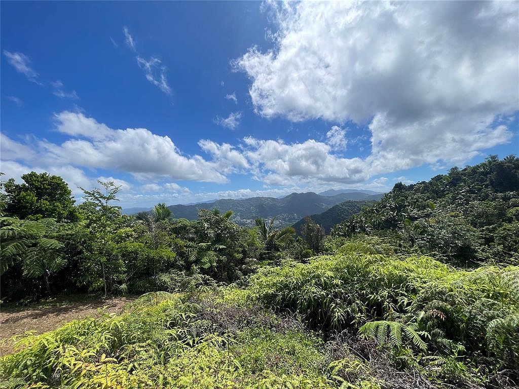 State Highway 518 #KM100 Adjuntas, PR 00601 - Thumbnail 5