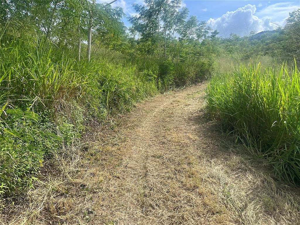 Km Carr #HOME 17.7-150 Coamo, PR 00769 - Thumbnail 5