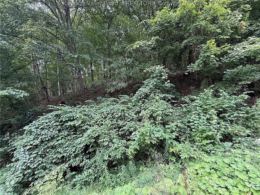 1037 Maccorkle Ave SW Saint Albans, WV 25177 - Thumbnail 5