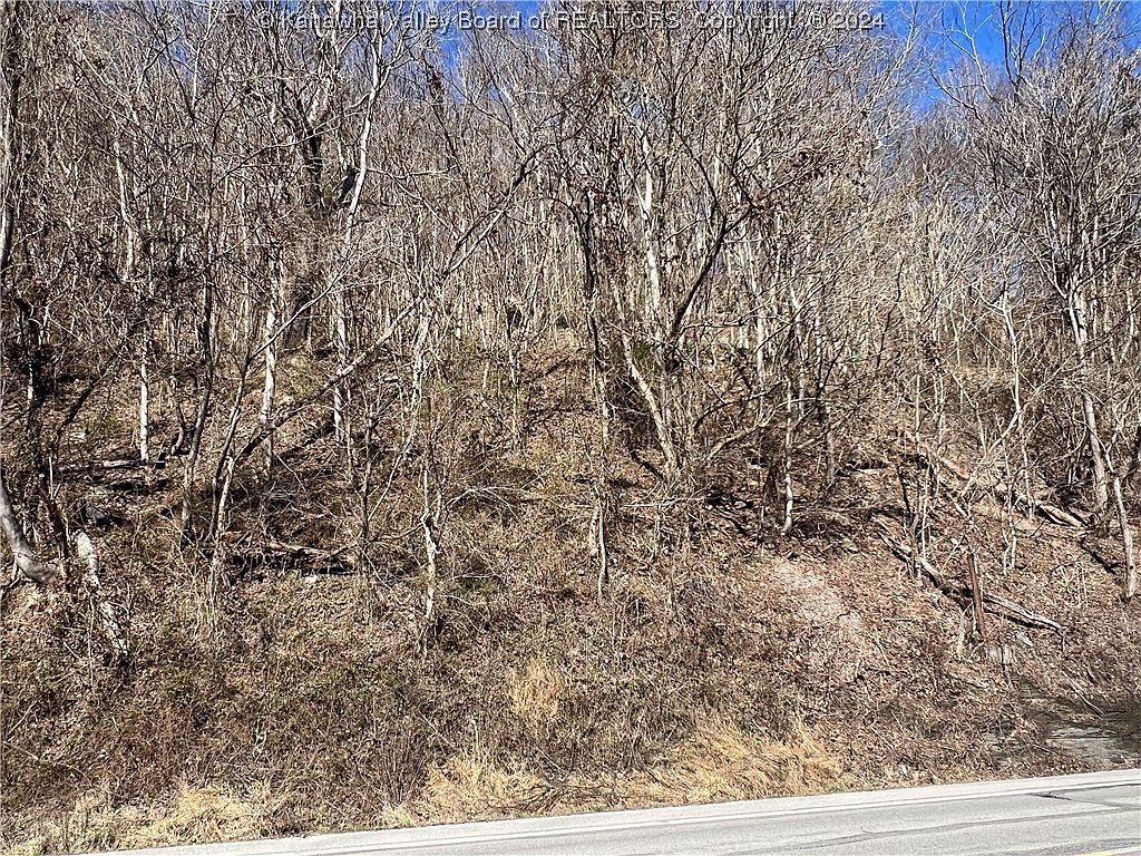 7245 E Dupont Ave Glasgow, WV 25086 - Thumbnail 5