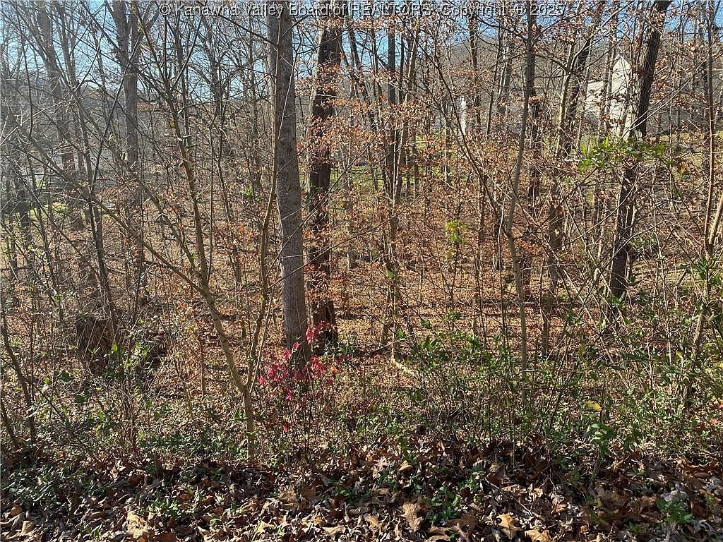 1189 Hillcrest Dr Saint Albans, WV 25177 - Thumbnail 5