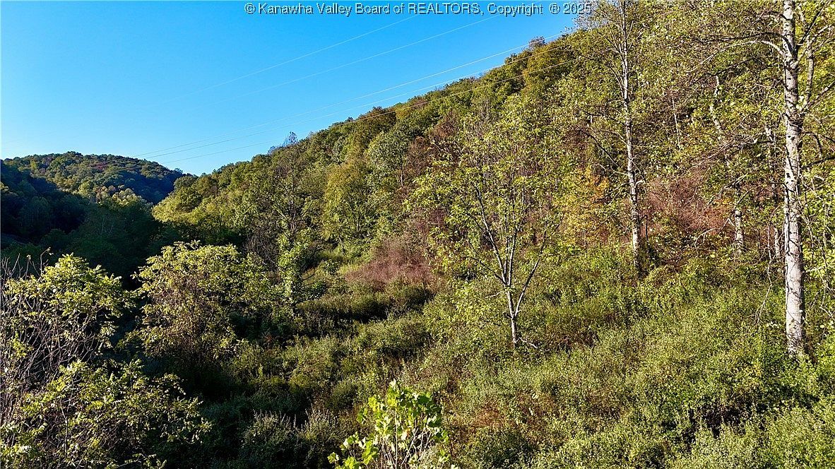 0 Harmons Creek Rd Poca, WV 25159 - Thumbnail 5