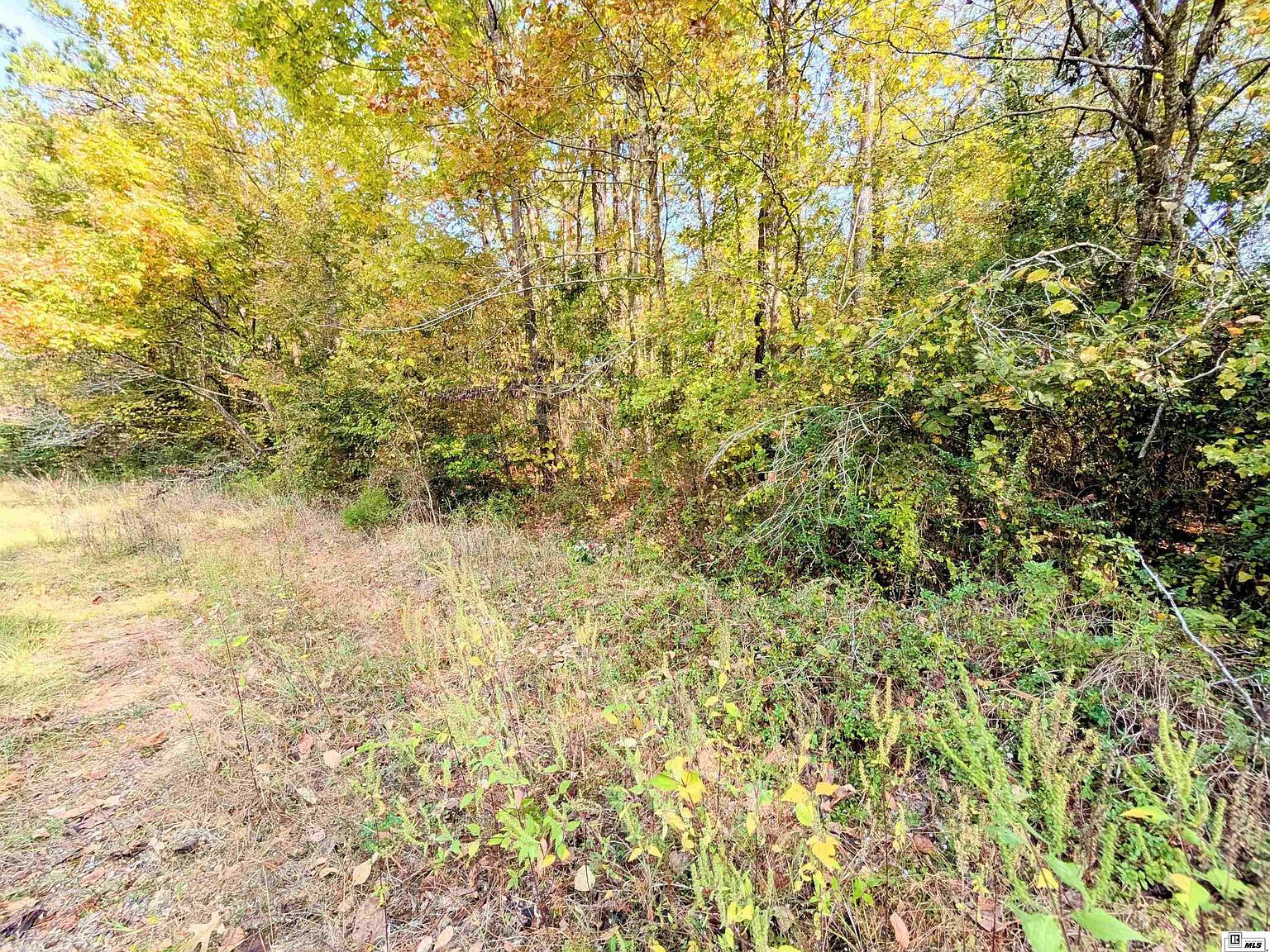 0 Rodeo St Jonesboro, LA 71251 - Thumbnail 5