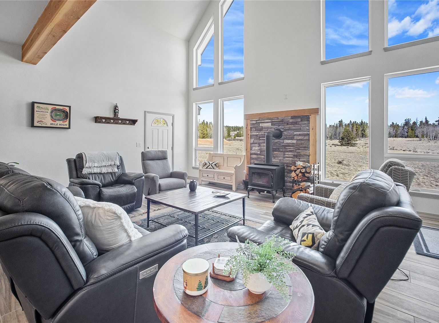 247 Foxtail Ct Fairplay, CO 80440 - Thumbnail 5