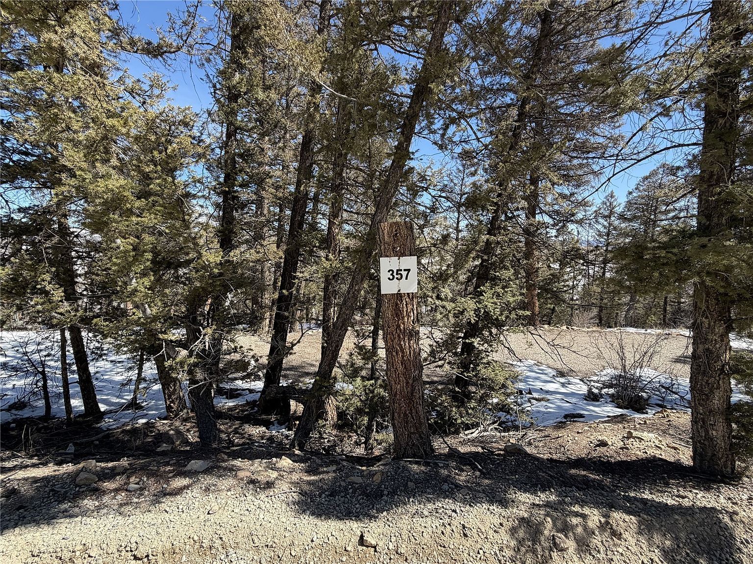 806 Middle Fork Vis Fairplay, CO 80440 - Thumbnail 5