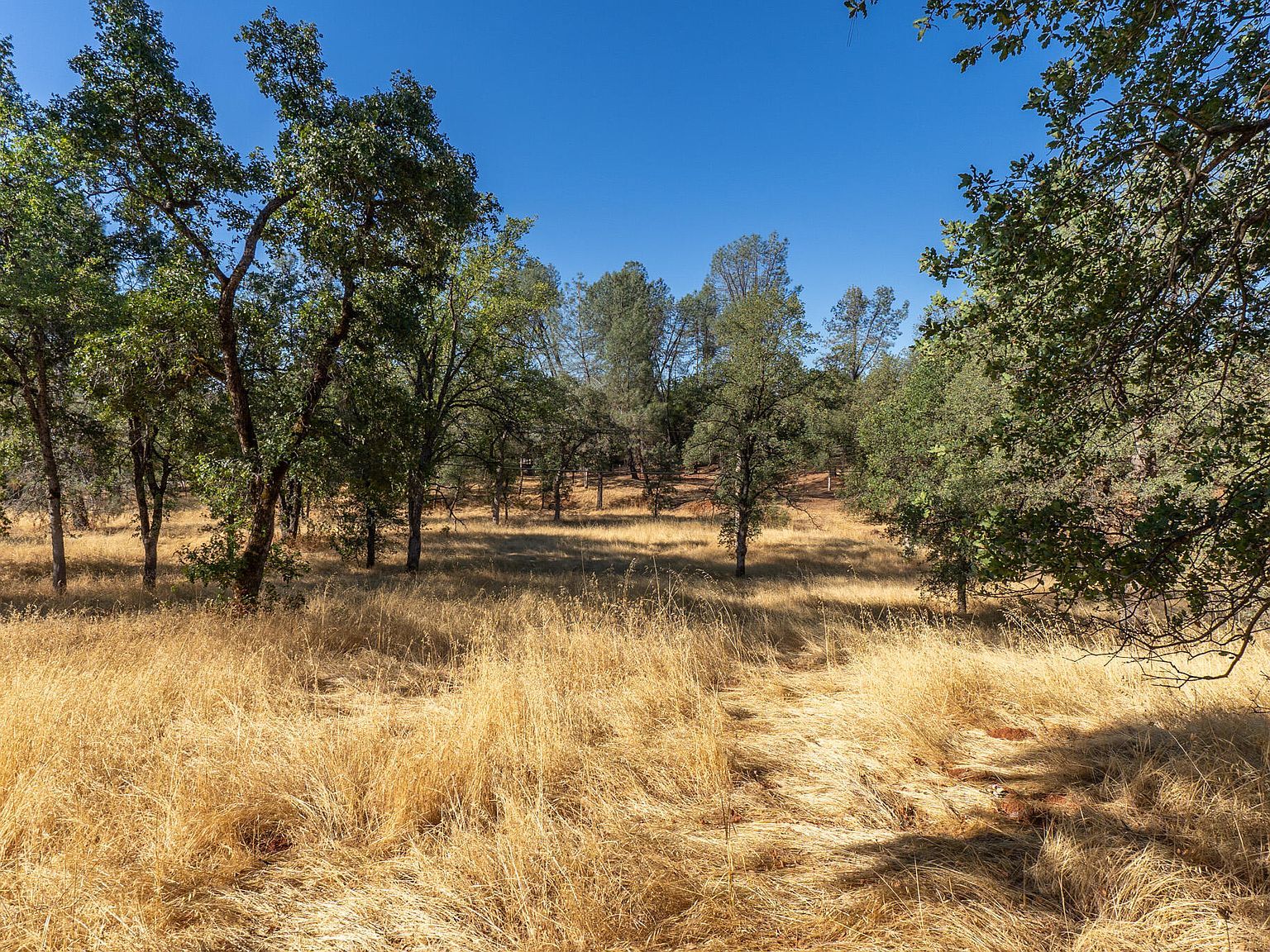 Natalie Way Redding, CA 96003 - Thumbnail 5