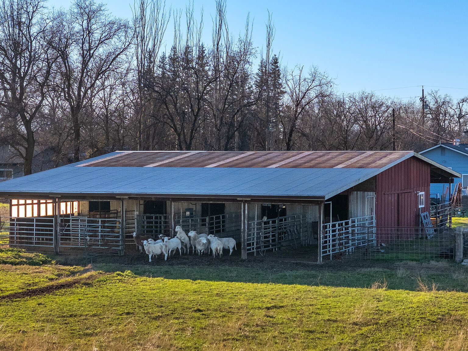 3721 Drybread Rd Cottonwood, CA 96022 - Thumbnail 5