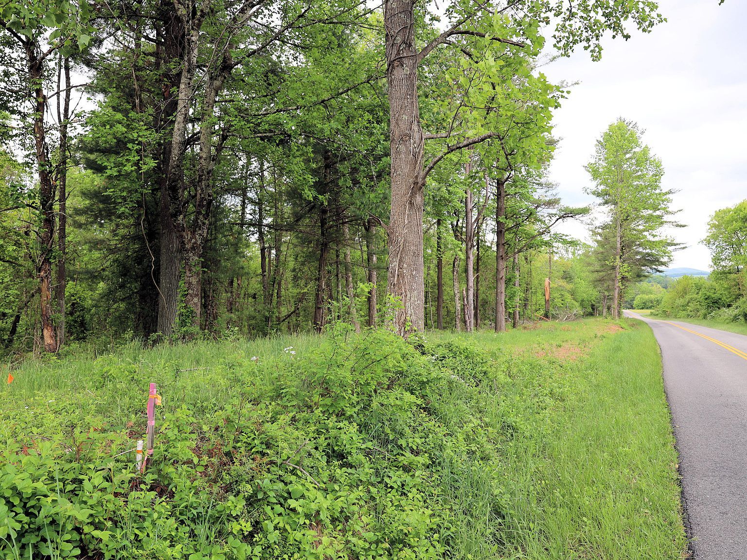 4 Franklin Pike SE Floyd, VA 24091 - Thumbnail 5